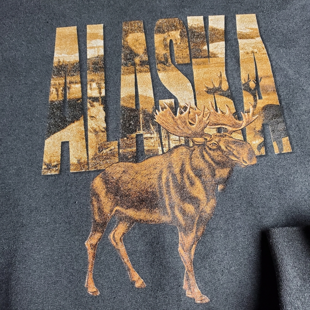 Vintage 90's Princess Cruises Collection Alaska Sweatshirt made in USA size XL